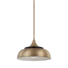  325713BX - 1 Light Pendant