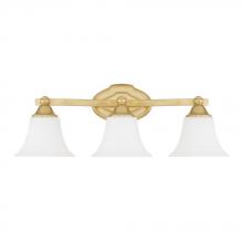 Capital 8523CG-114 - 3 Light Vanity