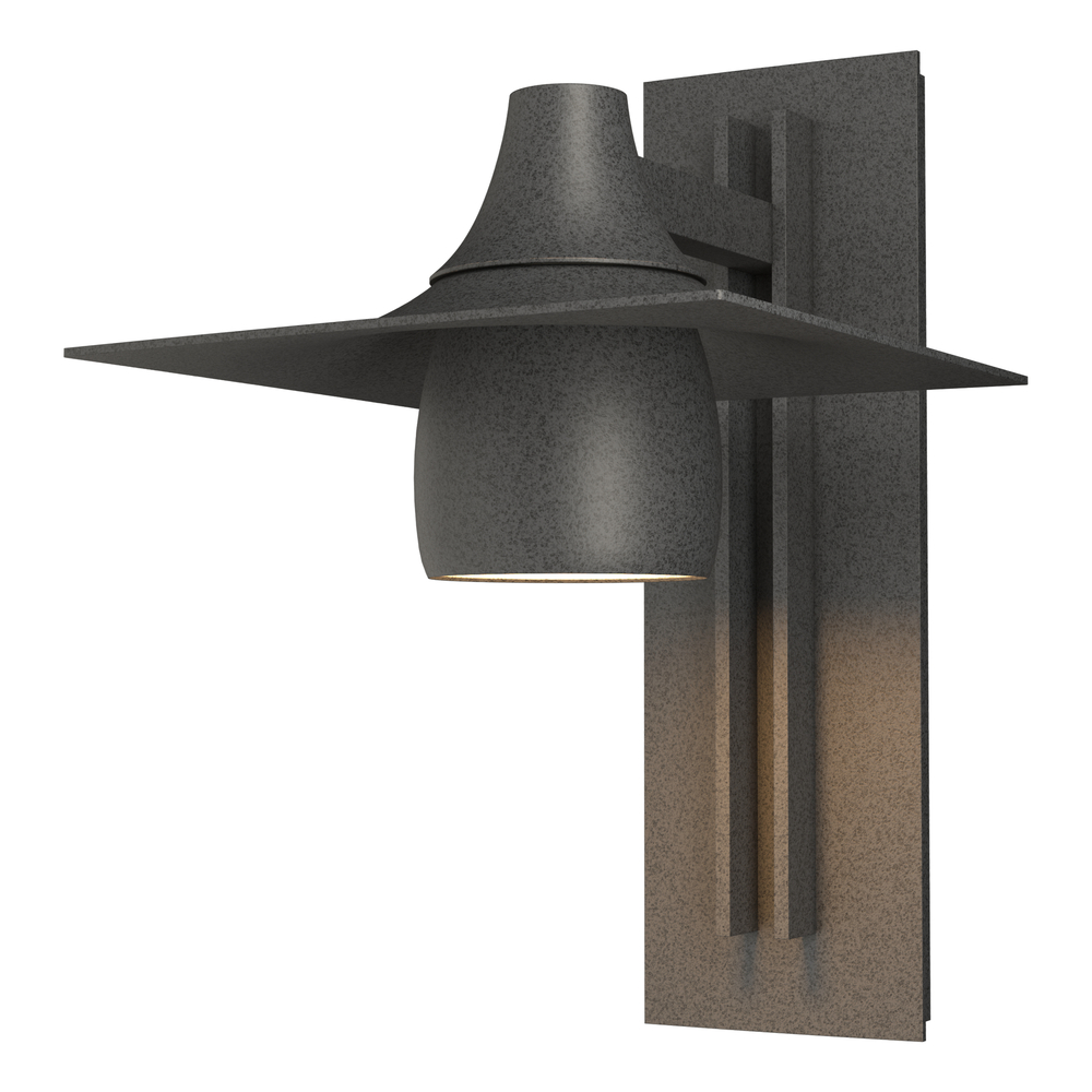 Hood Large Dark Sky Outdoor Sconce