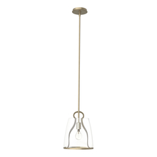 Hubbardton Forge 131065-SKT-MULT-84-ZM0721 - Caliper Pendant