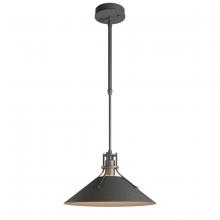 Hubbardton Forge 363008-SKT-STND-20 - Henry Outdoor Pendant Medium