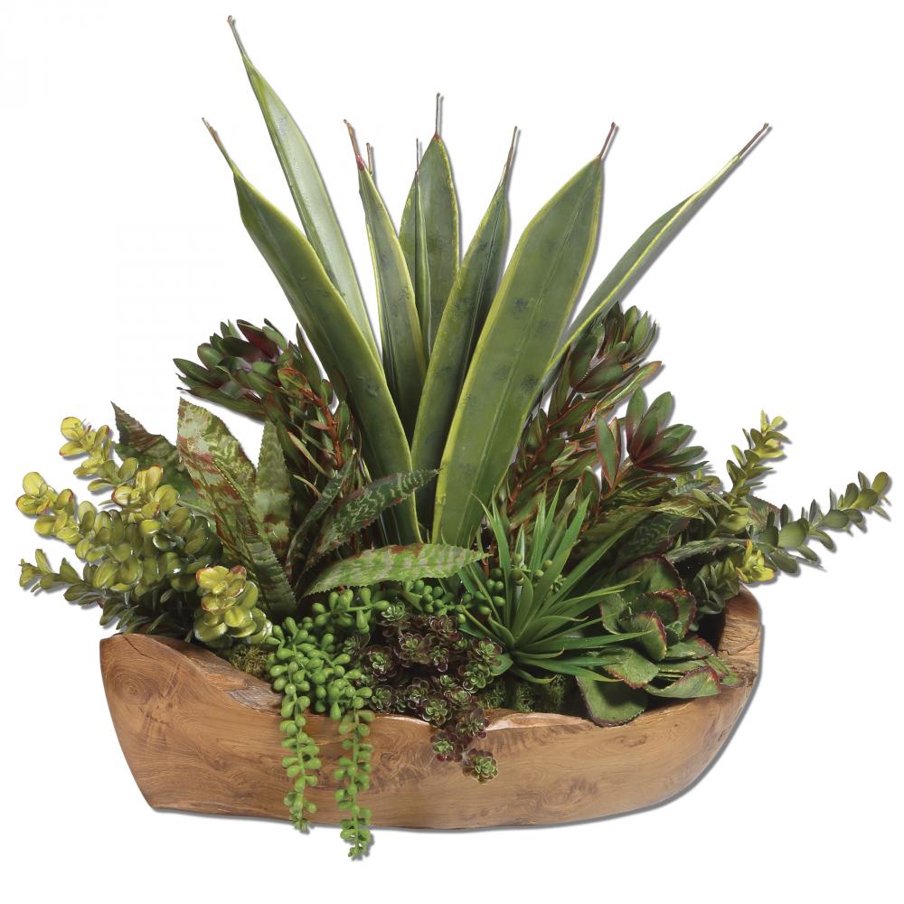 Uttermost Salar Succulents in Teak Bowl