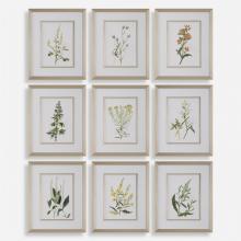 Uttermost 32339 - Botanical Flowers Framed Prints, S/9