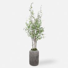 Uttermost 60146 - Uttermost Aldis Potted River Birch