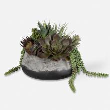 Uttermost 60214 - Yuma Succulent Centerpiece